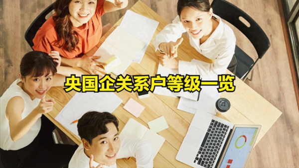 股票配资公司排名榜 央国企关系户等级一览
