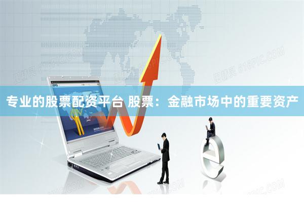 专业的股票配资平台 股票：金融市场中的重要资产
