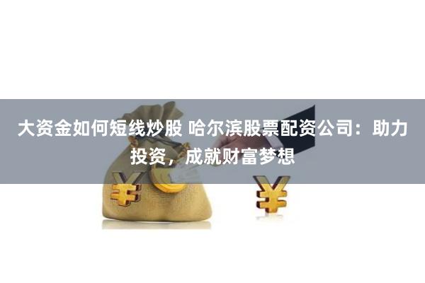 大资金如何短线炒股 哈尔滨股票配资公司：助力投资，成就财富梦想