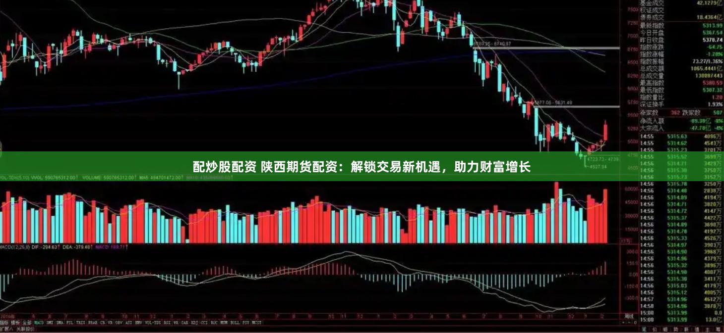配炒股配资 陕西期货配资：解锁交易新机遇，助力财富增长