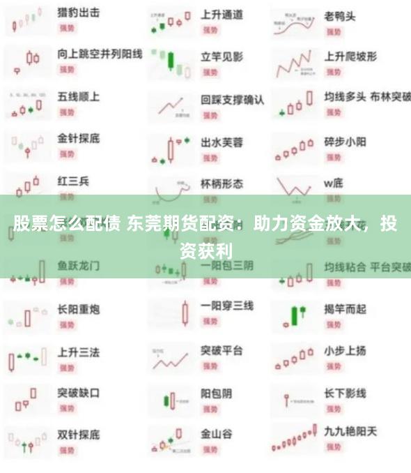 股票怎么配债 东莞期货配资：助力资金放大，投资获利